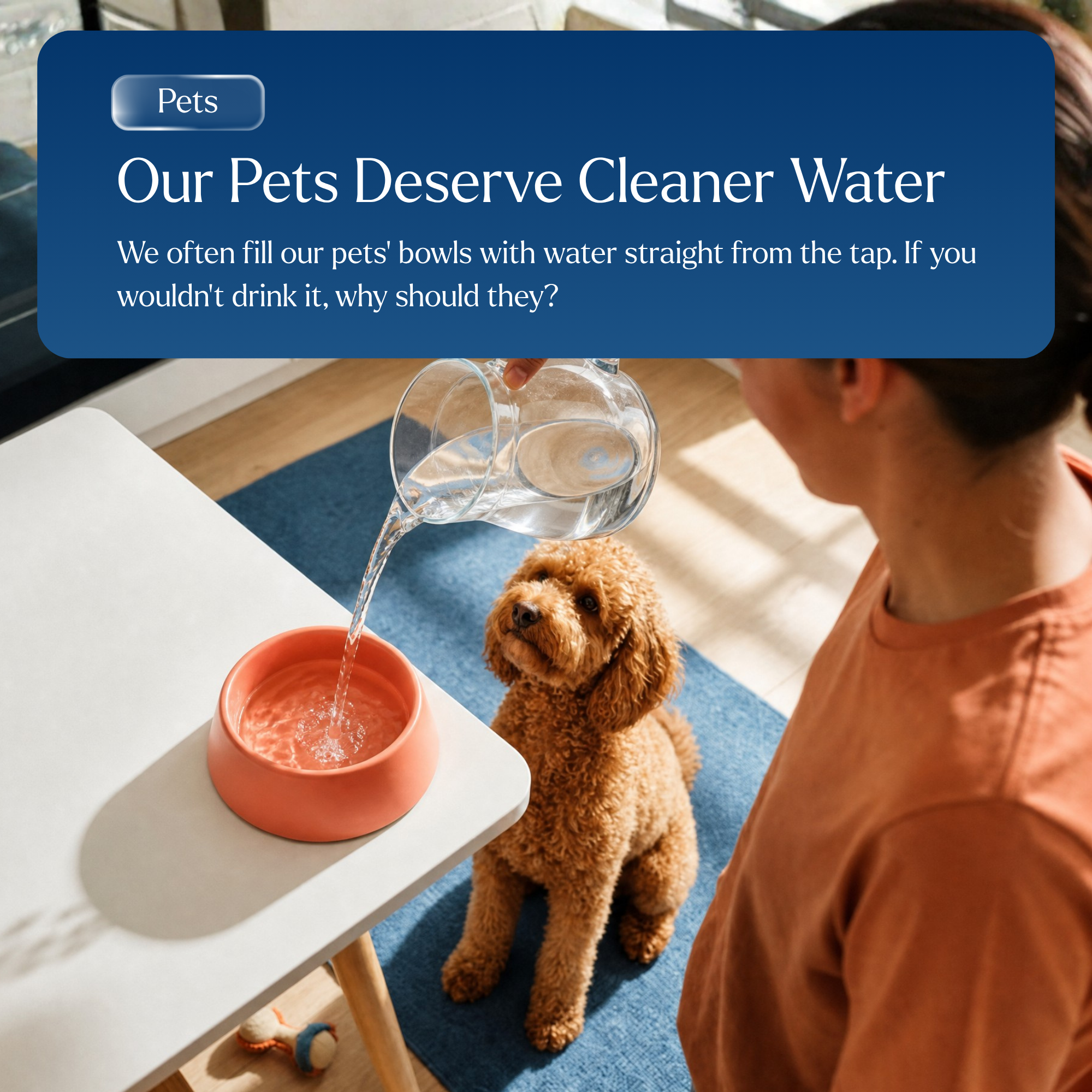 P1 Under-Sink Bundle