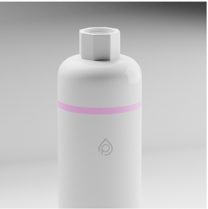 S2 Shower Filter