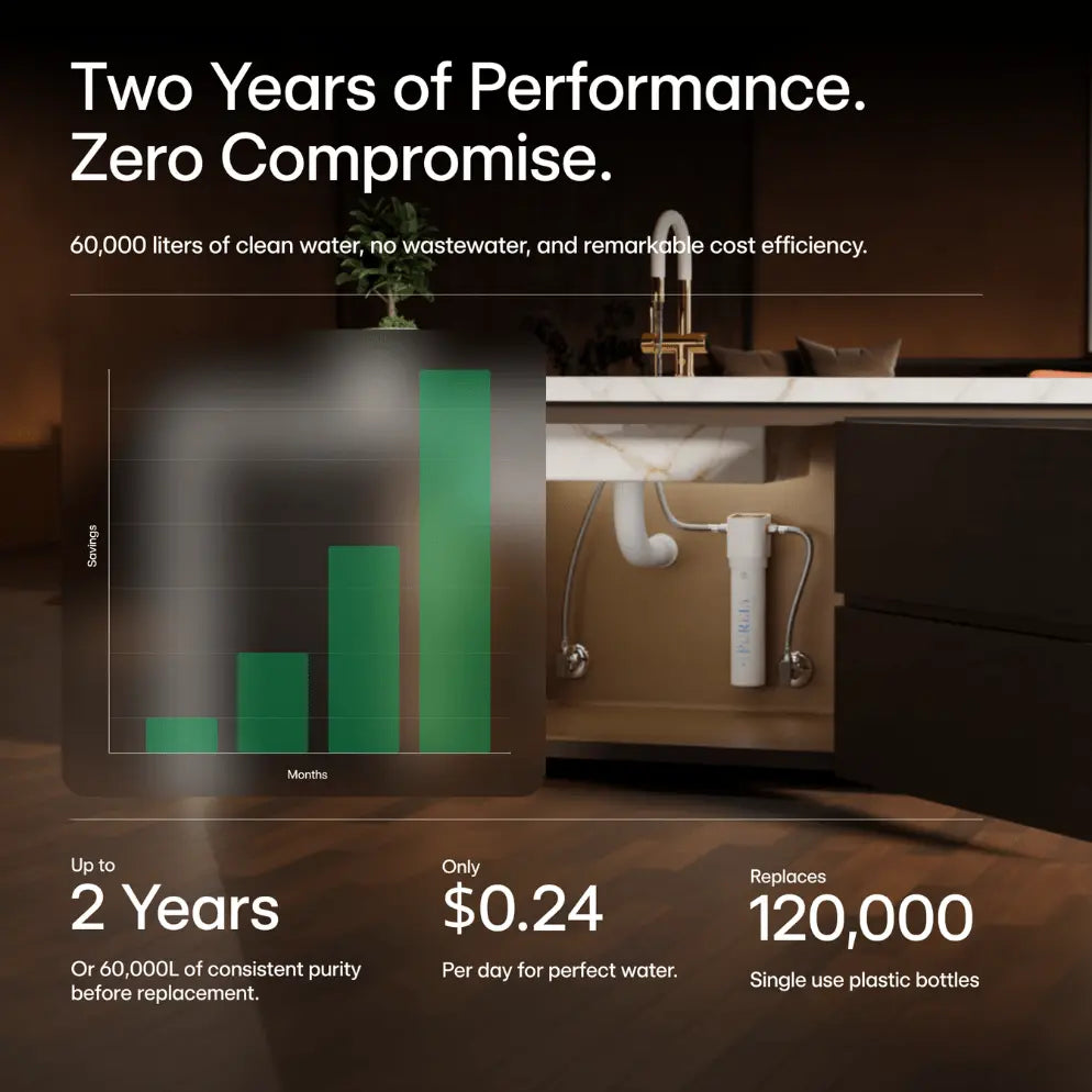 P1 Under sink 4 year of purity