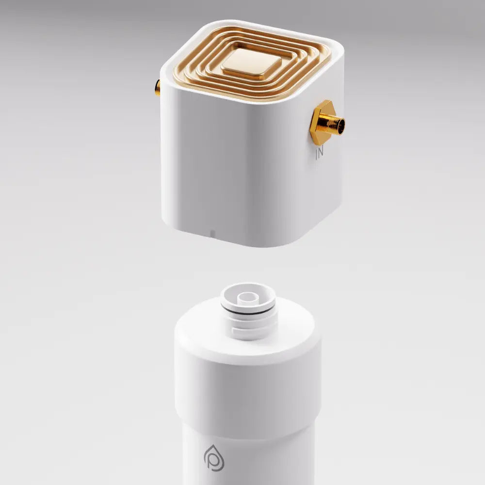 Cartouche de rechange P1 