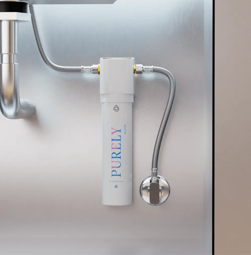 P1 Under sink 4 year of purity