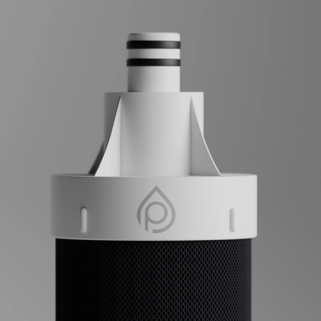 Cartouche de rechange P1 